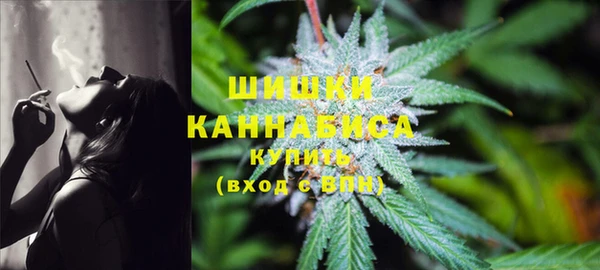 дживик Мегион