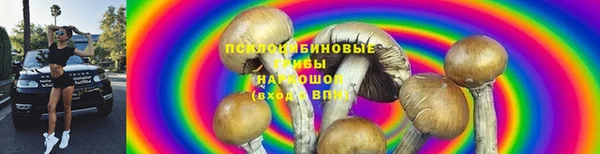 тгк Верхний Тагил