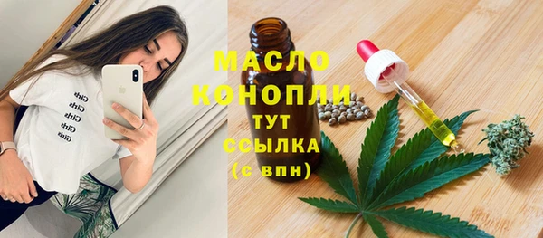 меф Вяземский